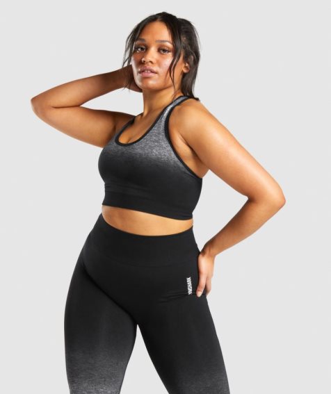 Women's Gymshark Adapt Ombre Seamless Sports Bra Black | CA 83N7AD